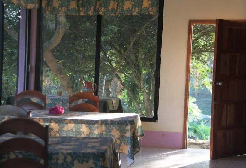 فندق Davis Falls Inn