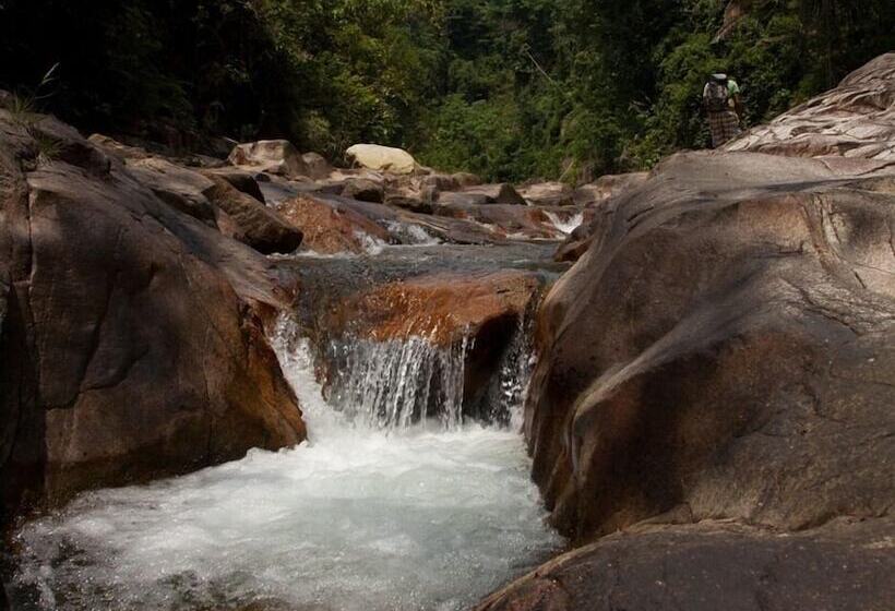 فندق Davis Falls Inn