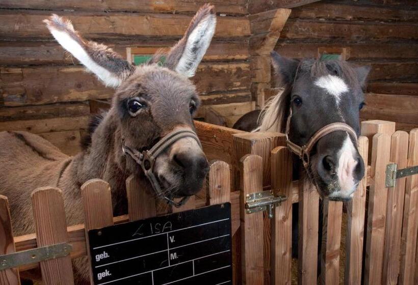 فندق Der Unterschwarzachhof