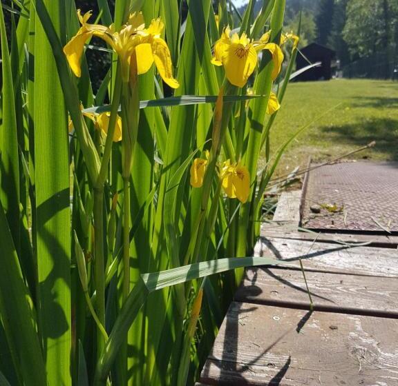 酒店 Ferienpension Garni Hubert Rigelnik