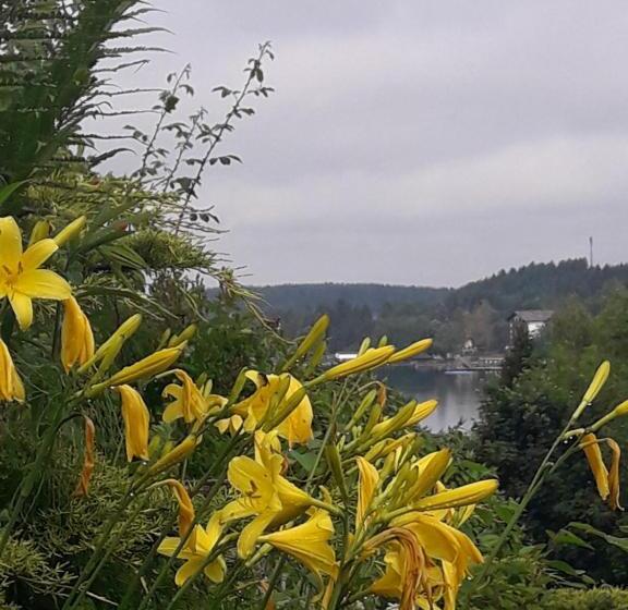 酒店 Ferienpension Garni Hubert Rigelnik