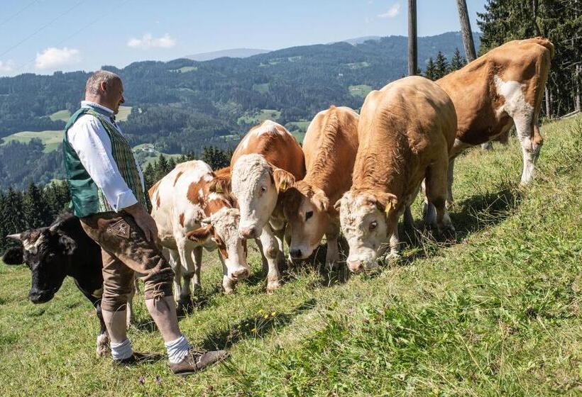 فندق Gasthof Deixelberger