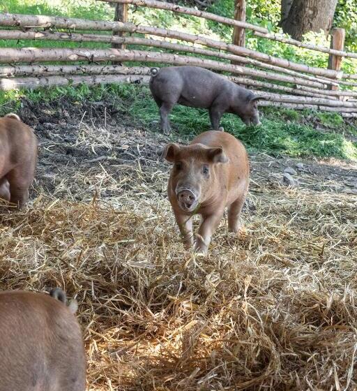 فندق Gasthof Deixelberger