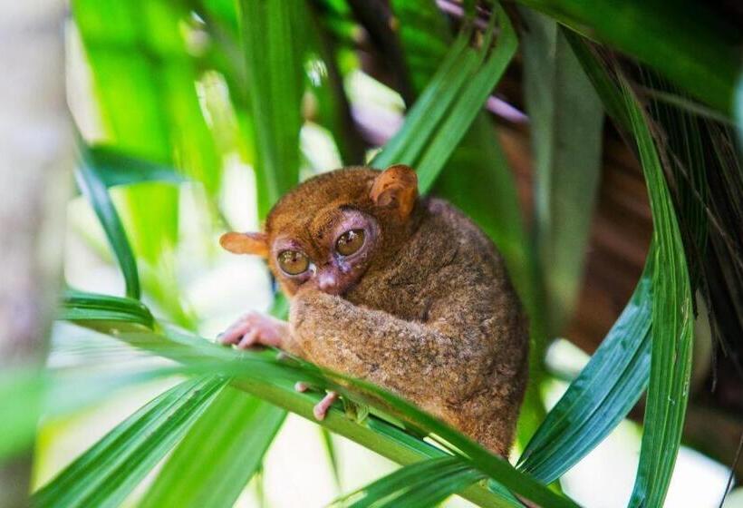 Hotel Nipa Hut Village