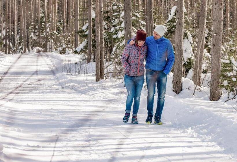 فندق Gästehaus Elmerhof