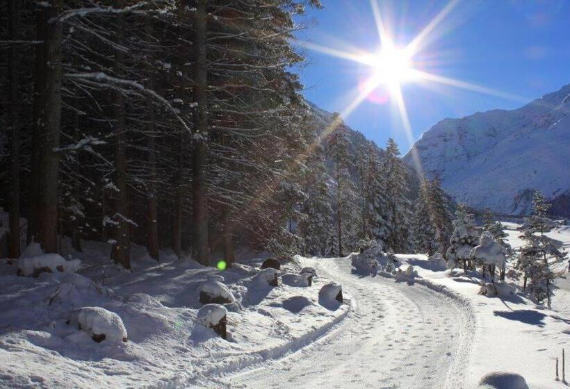 Отель St Leonhard