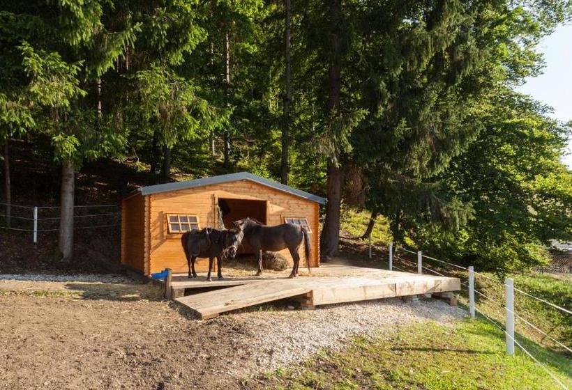 호텔 Resort Klopeinersee