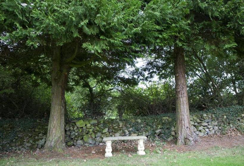 فندق St Kyrans Guest House