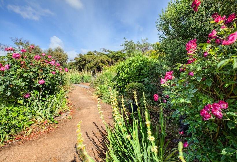 Отель Wagners Cottages