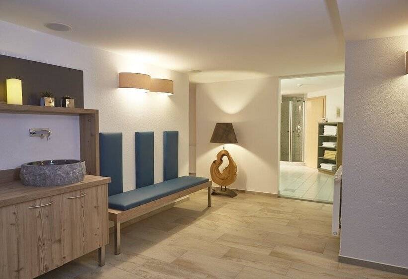 Отель Zontaja Superior