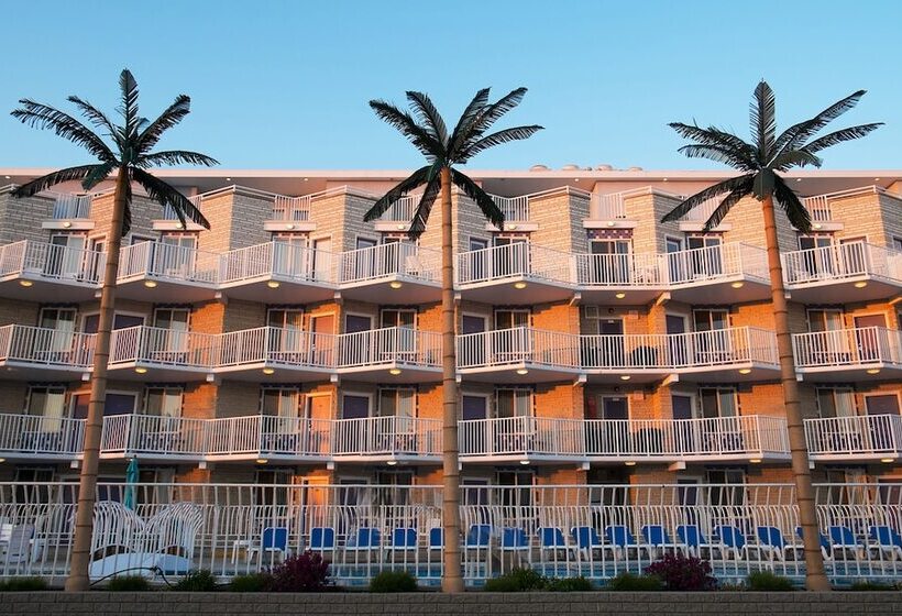 汽车旅馆  Shalimar Resort