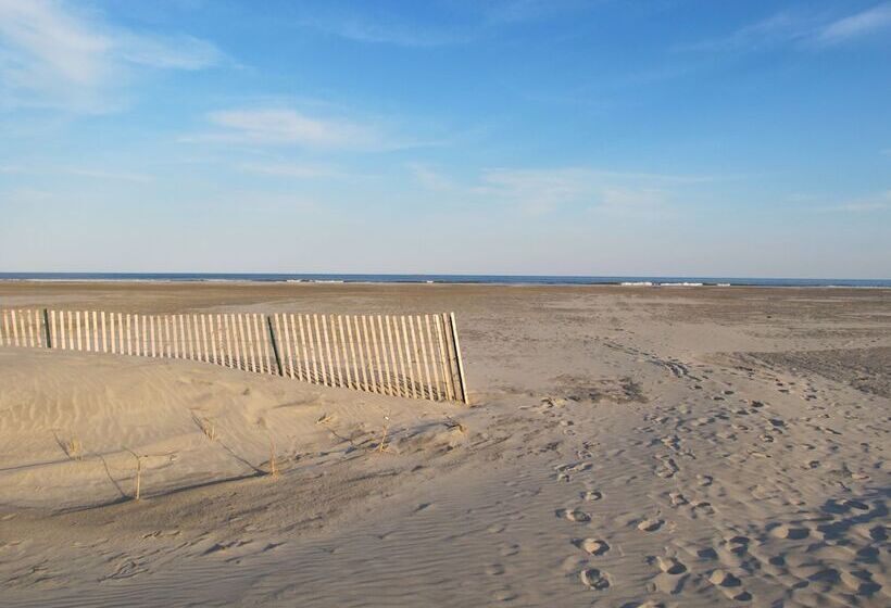 汽车旅馆  Shalimar Resort