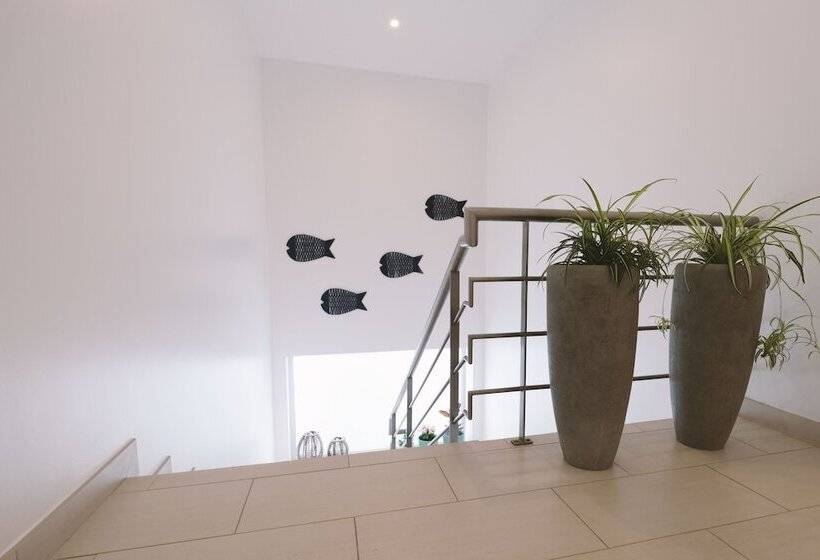 Sao Vicente Lodge   Atlantic Retreat