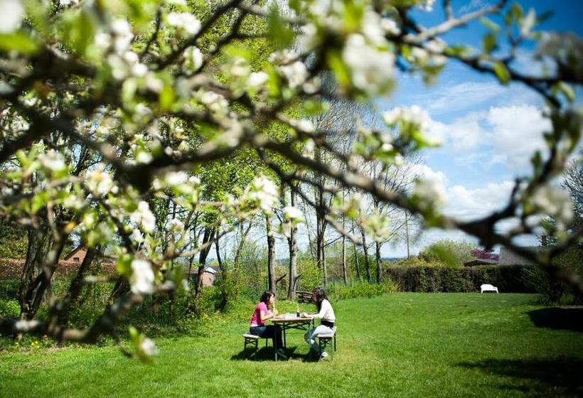 旅馆 Auberge De Jeunesse De La Roche Champlon