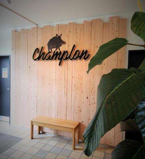 旅馆 Auberge De Jeunesse De La Roche Champlon