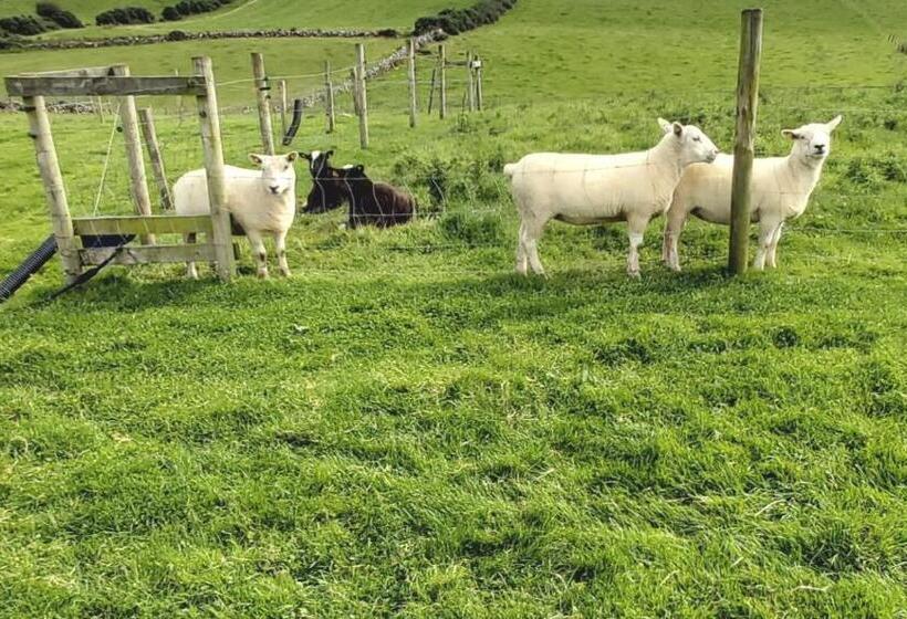 فندق صغير Valley Lodge Room Only Guest House