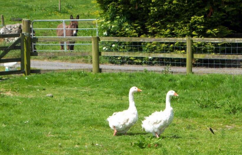 فندق صغير Valley Lodge Room Only Guest House