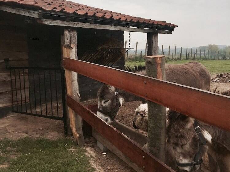 B&b Het Stille Genoegen