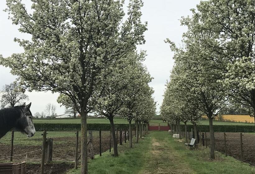 ベッドアンドブレックファースト T Welthof