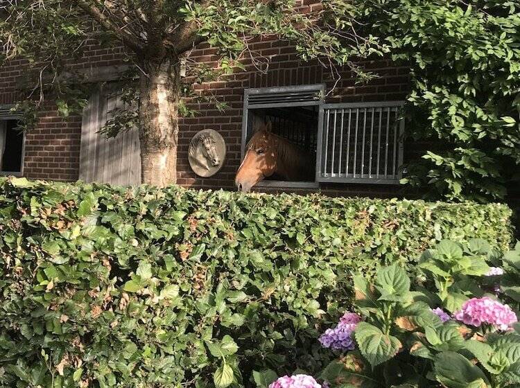 ベッドアンドブレックファースト T Welthof