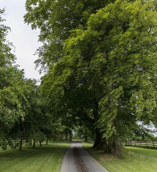 צימר College Hill House