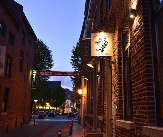 住宿加早餐  De Koddige Kater