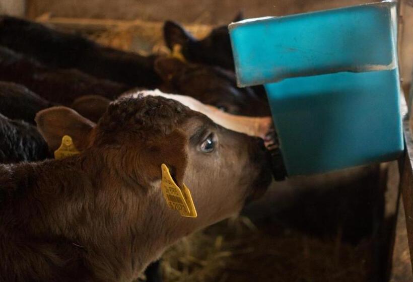 مبيت وإفطار Fortview Guest House