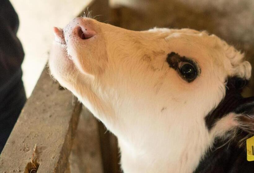 مبيت وإفطار Fortview Guest House