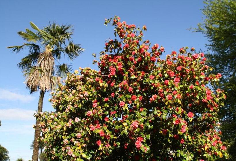 تختخواب و صبحانه Maranatha Country House