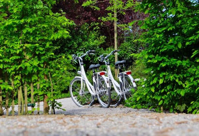 ベッドアンドブレックファースト Marcel De Gand Business & Travel