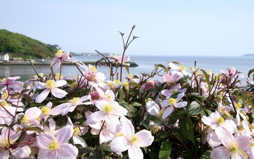 مبيت وإفطار Marsh Mere Lodge