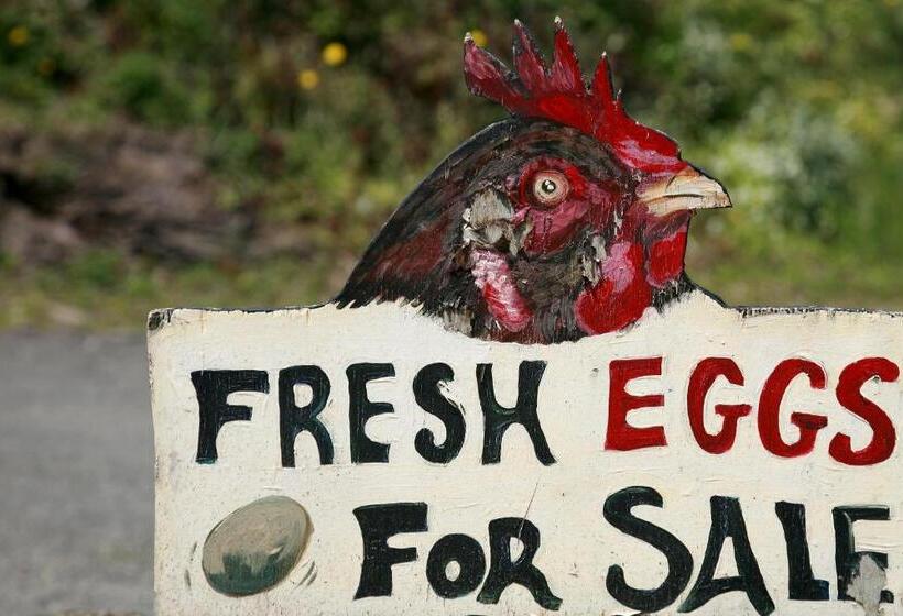 مبيت وإفطار Marsh Mere Lodge