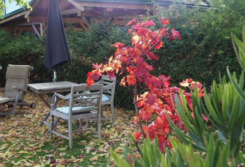 مبيت وإفطار Pension Alpenhof