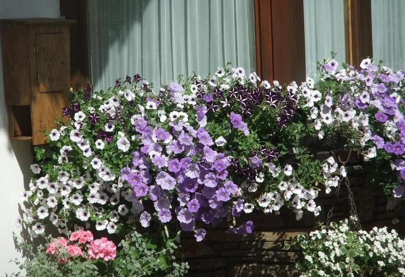 مبيت وإفطار Pension Alpenhof