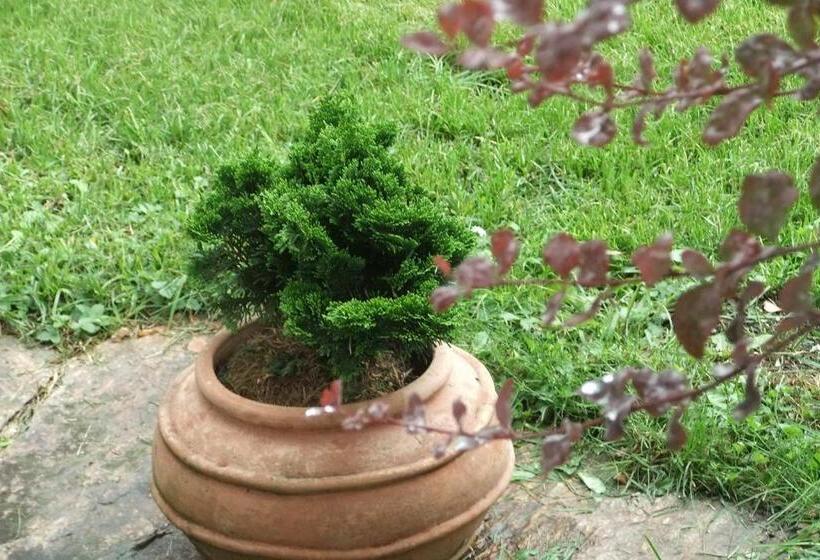 مبيت وإفطار Pension Alpenhof