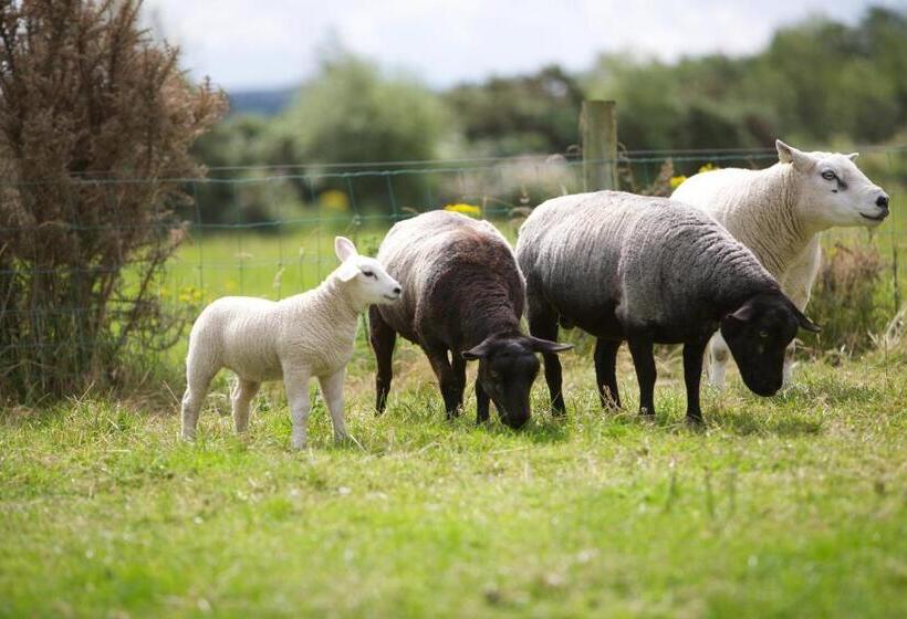 Bed and Breakfast Riversdale Country House