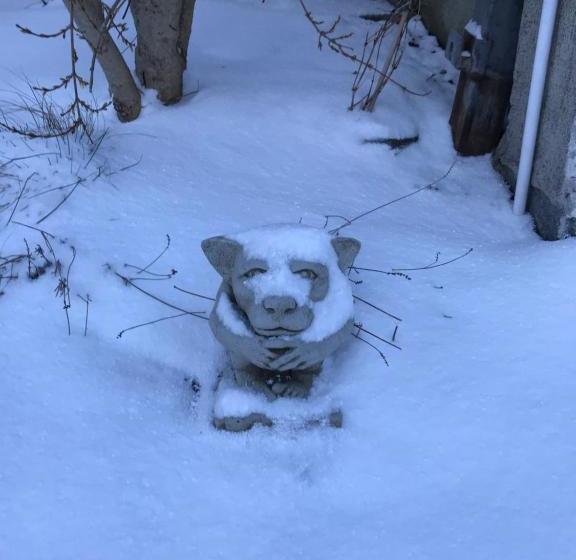 민박 The Artist Residence Dublin