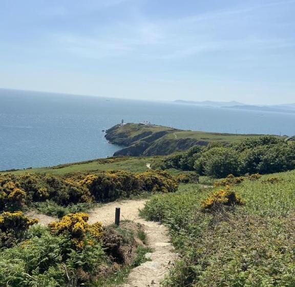 민박 The Artist Residence Dublin