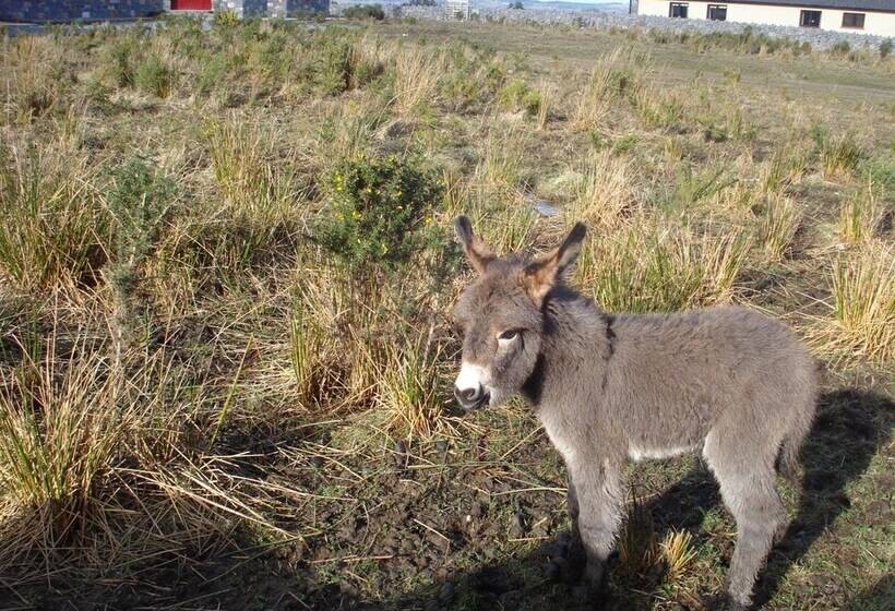민박 Tullaleagan Guesthouse