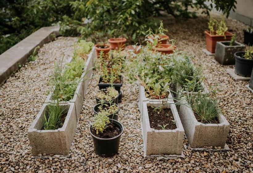 Boutique Hotel Maraton