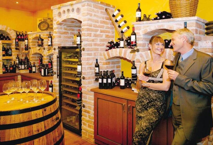 Eurothermenresort Bad Schallerbach   Hotel Paradiso Superior