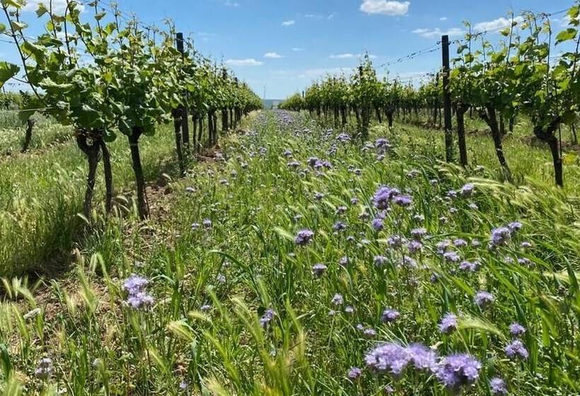 Genießerhof Haimer   Hotel Garni