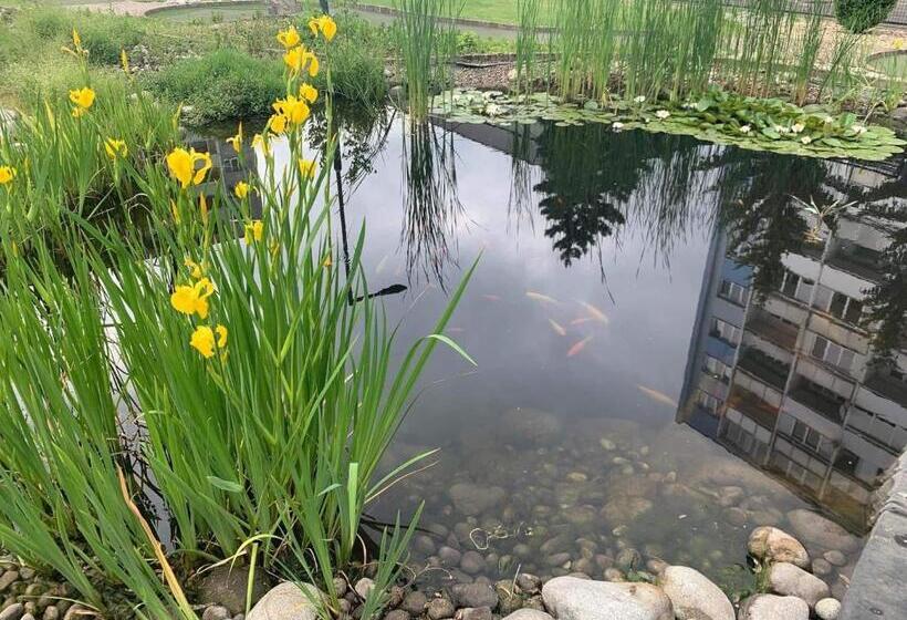 مسافرخانه Penzion Set