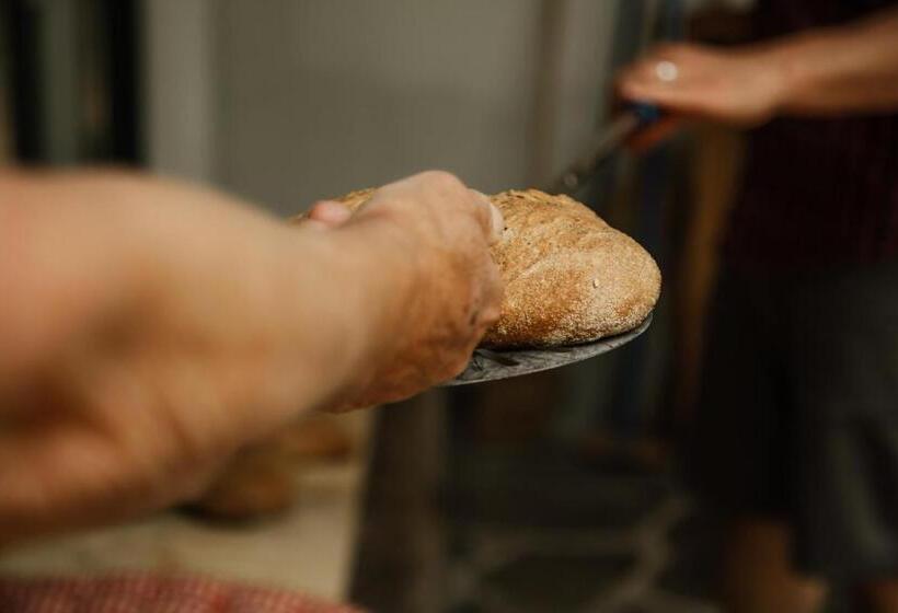 هتل Bio Landpension Monika