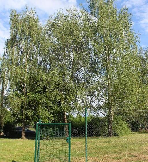 酒店 Class'eco Charleroi