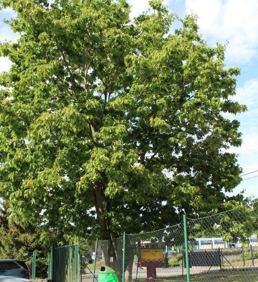 酒店 Class'eco Charleroi