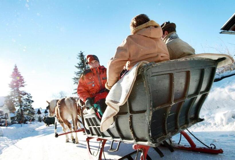 ホテル Fahrnberger