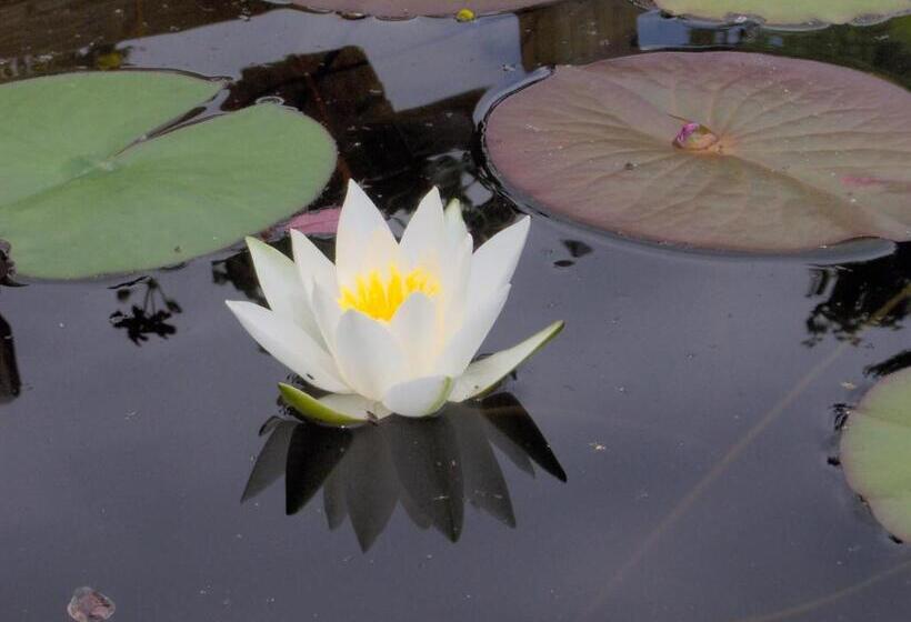 فندق Garni Thermenoase