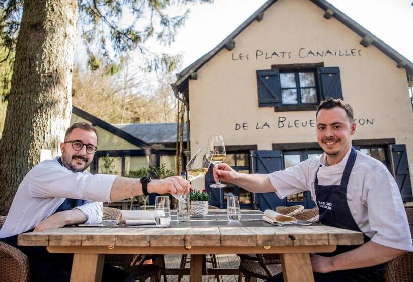 בית מלון כפרי Hôtel Les Ardillières Du Pont D Oye