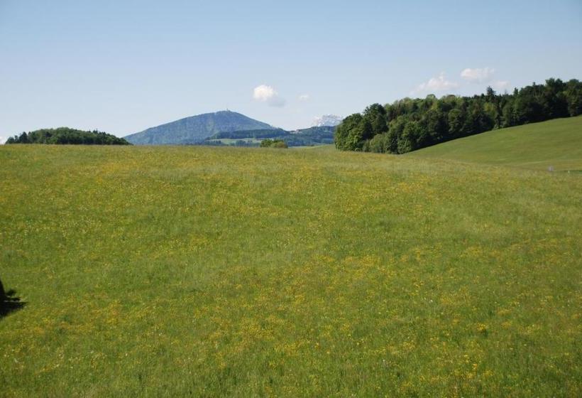 فندق Landhaus Brieger